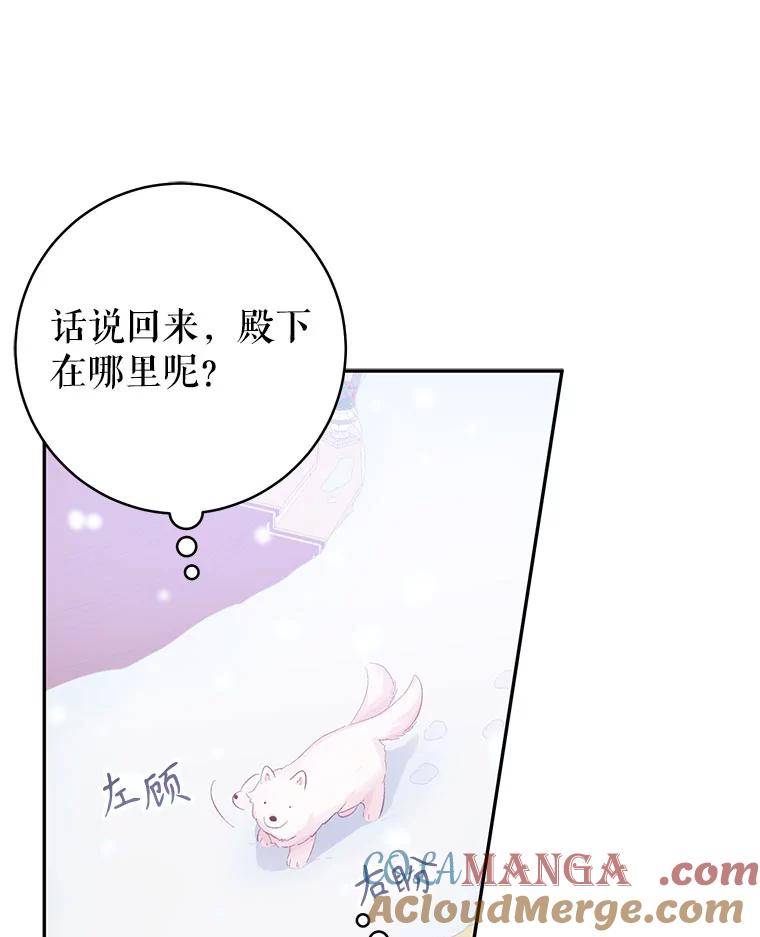 只需轻握我的手 15.雪白的狗 第25页