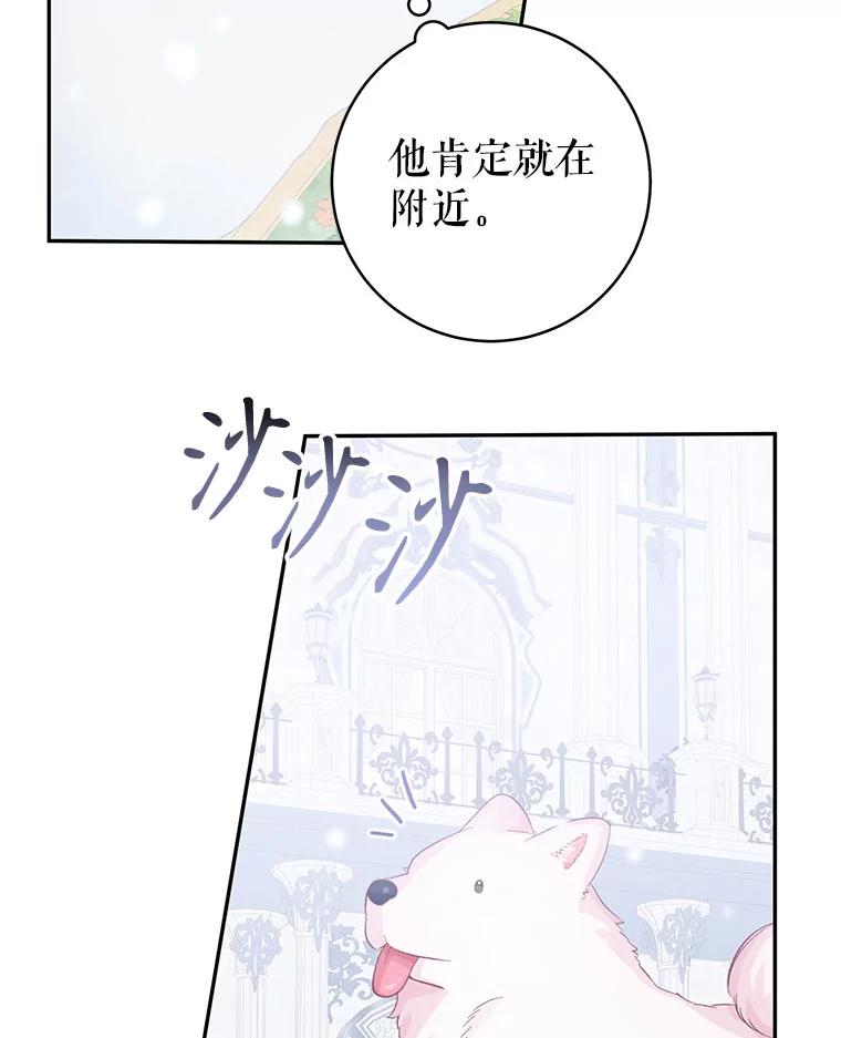 只需轻握我的手 15.雪白的狗 第26页