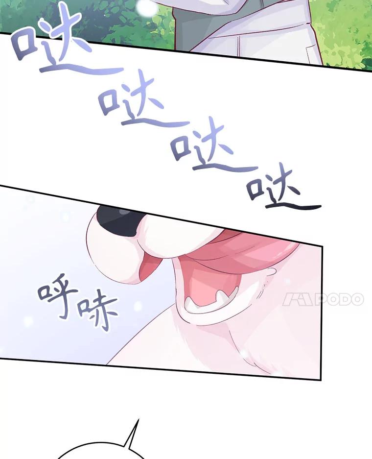 只需轻握我的手 15.雪白的狗 第31页