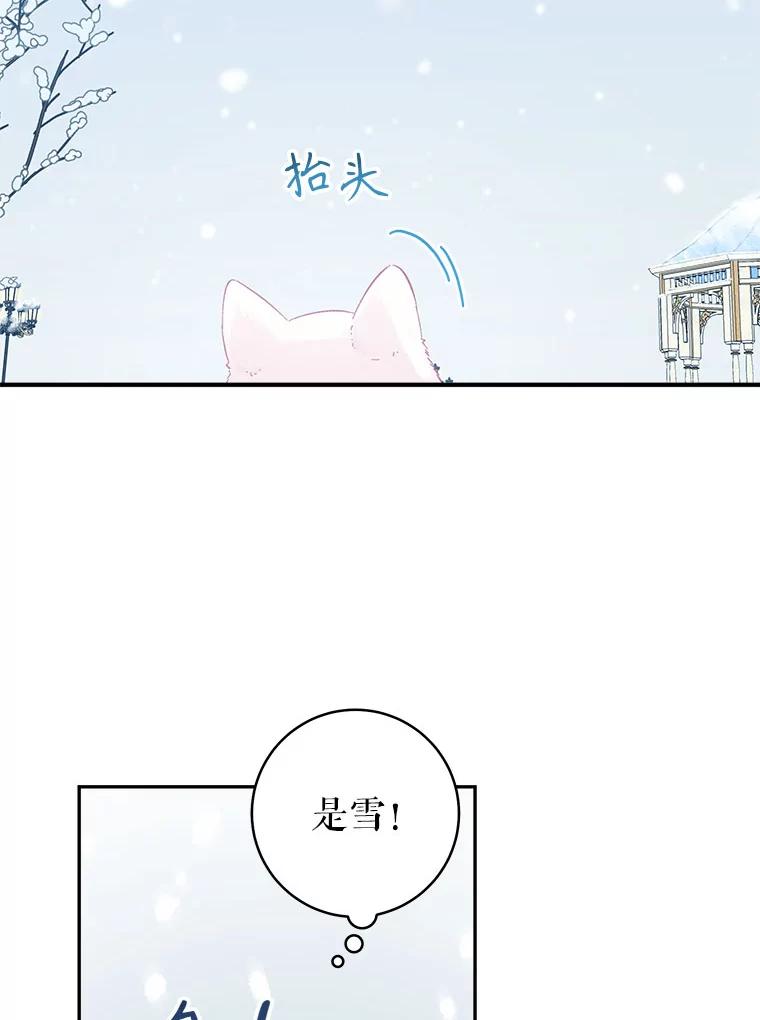 只需轻握我的手 15.雪白的狗 第19页