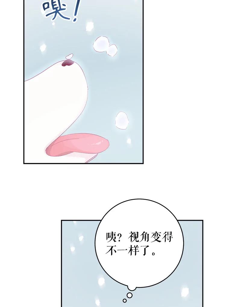 只需轻握我的手 15.雪白的狗 第20页