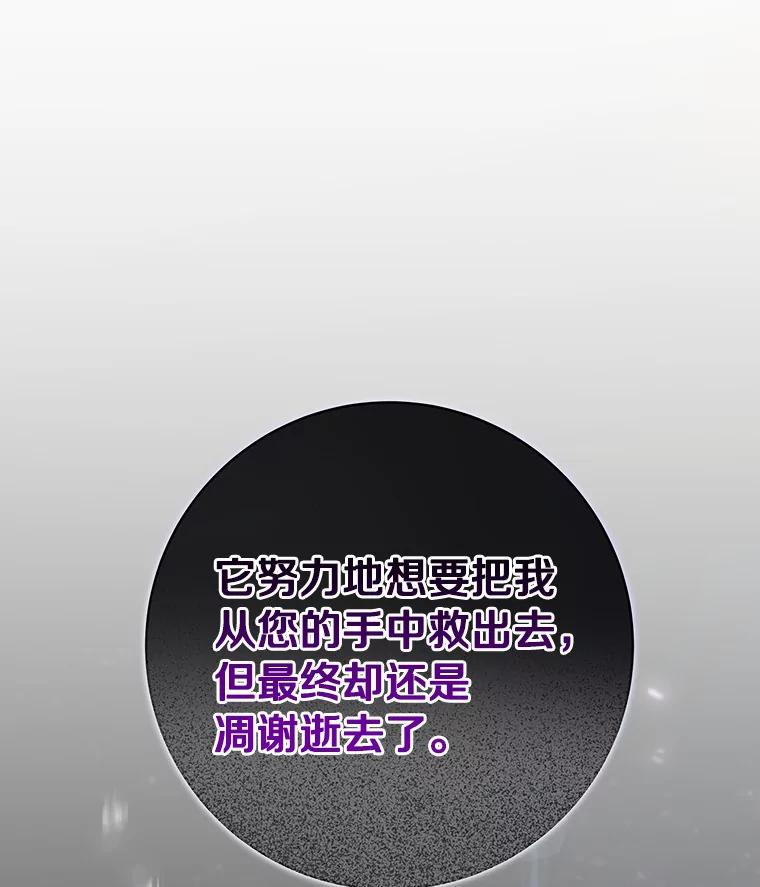 《成为主角的命定救星》44.成人仪式 第119页