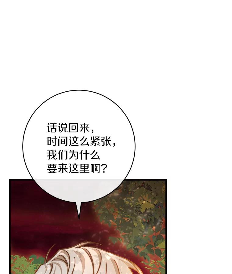 《成为主角的命定救星》44.成人仪式 第12页