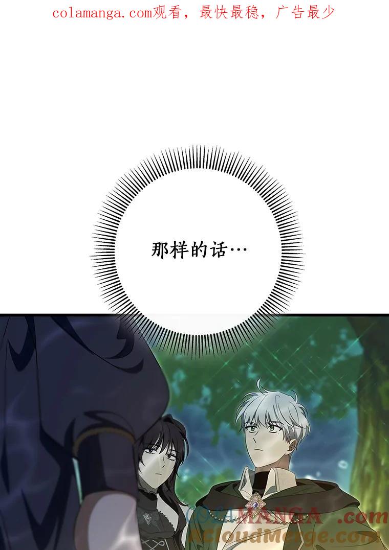 《成为主角的命定救星》89.精灵融合 第1页