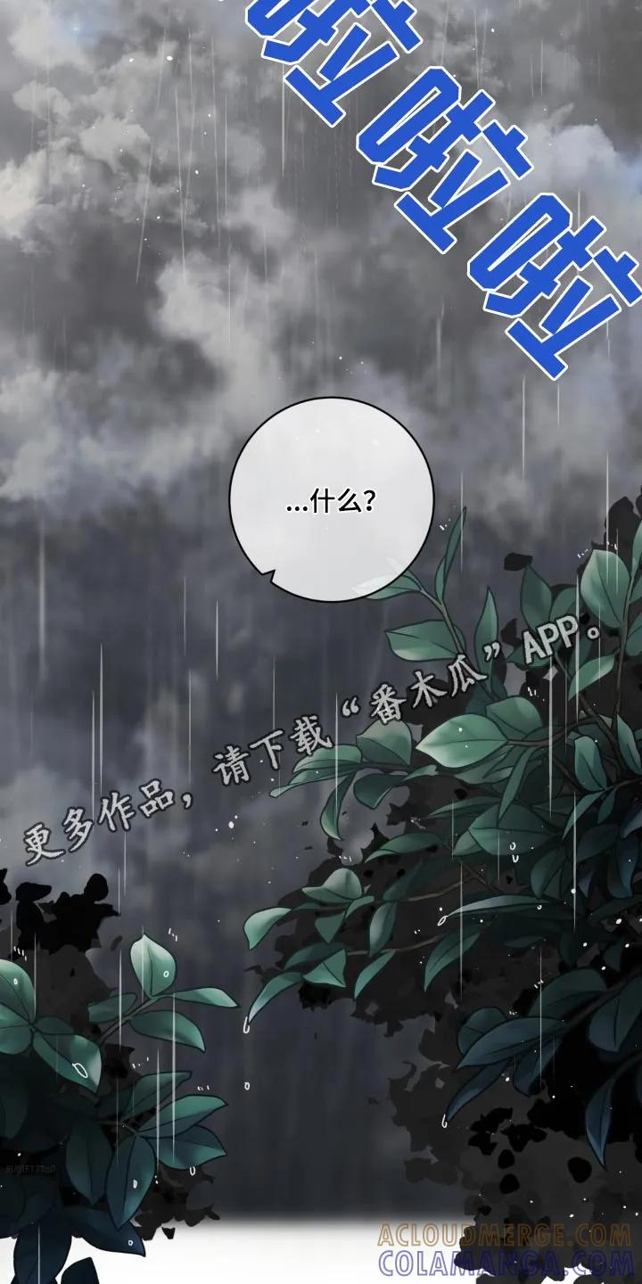 《复生之缘》第79章：通知你 第27页