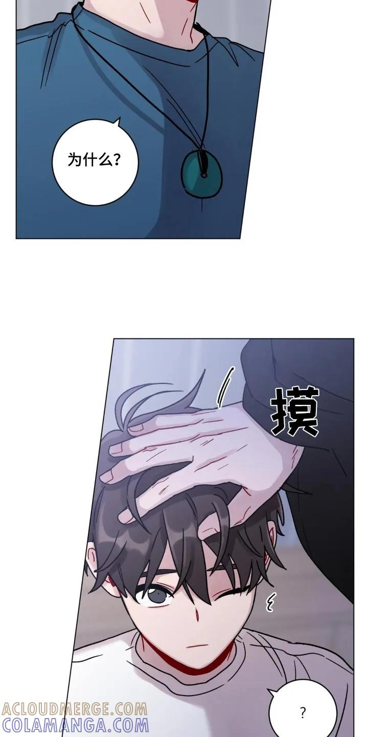 《复生之缘》第79章：通知你 第23页