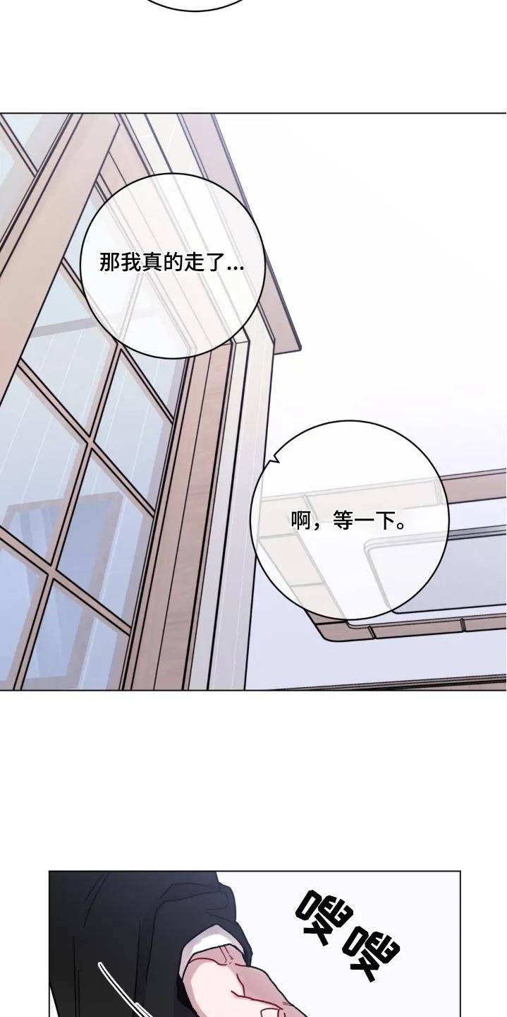 《复生之缘》第81章：相信你 第2页
