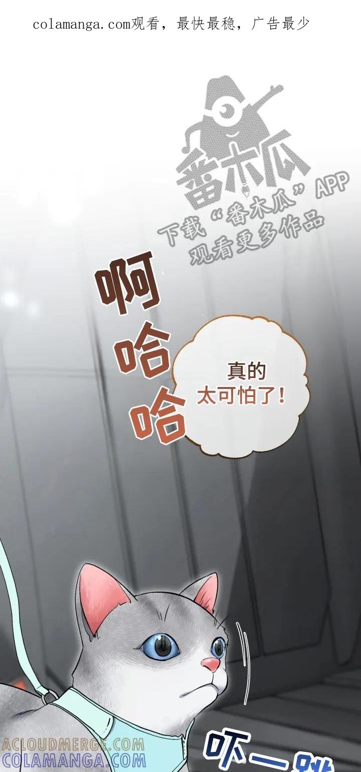 《快穿救赎》第89章：接下来该怎么办 第1页