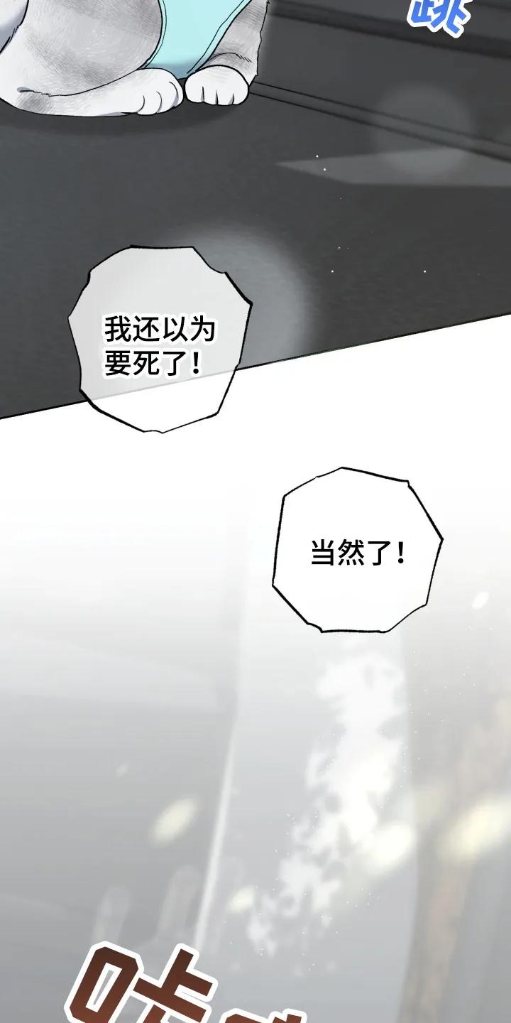 《快穿救赎》第89章：接下来该怎么办 第2页