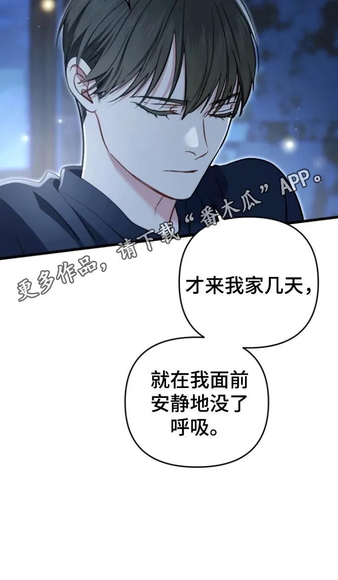 《快穿救赎》第91章：家乡 第36页