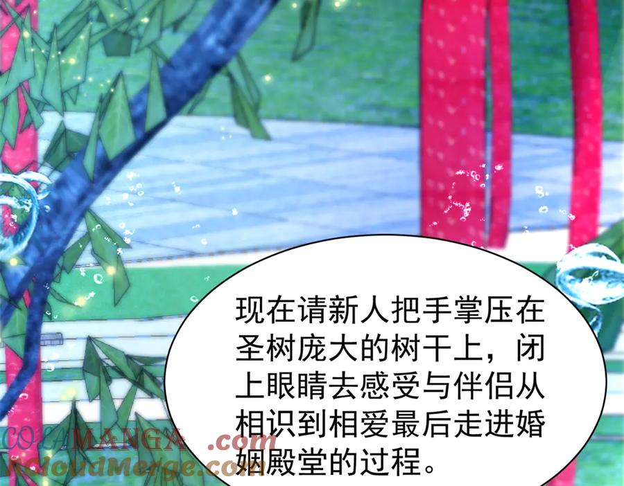 我在婚配所摇到了世界首富 235 大婚仪式 第81页