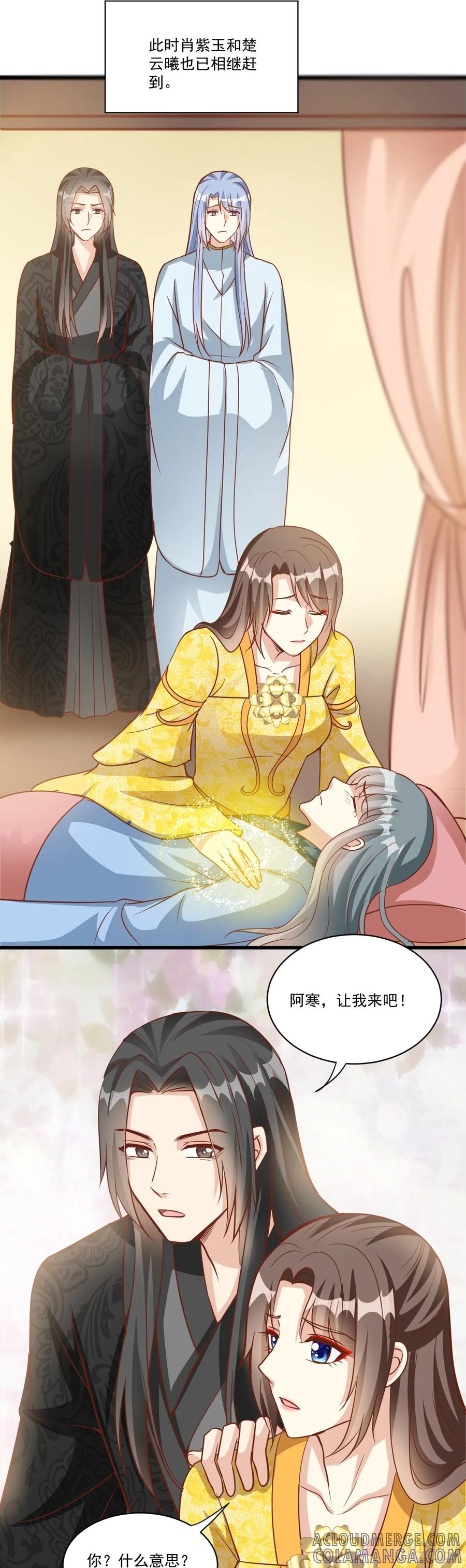 《女尊帝国之朕的倾世男妃们》第44话 欧阳邈难产 第17页