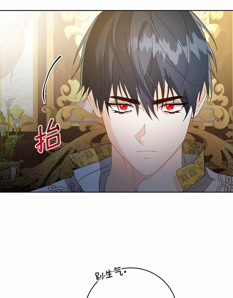 《我从没抛弃过陛下》9.心生嫉妒 第84页