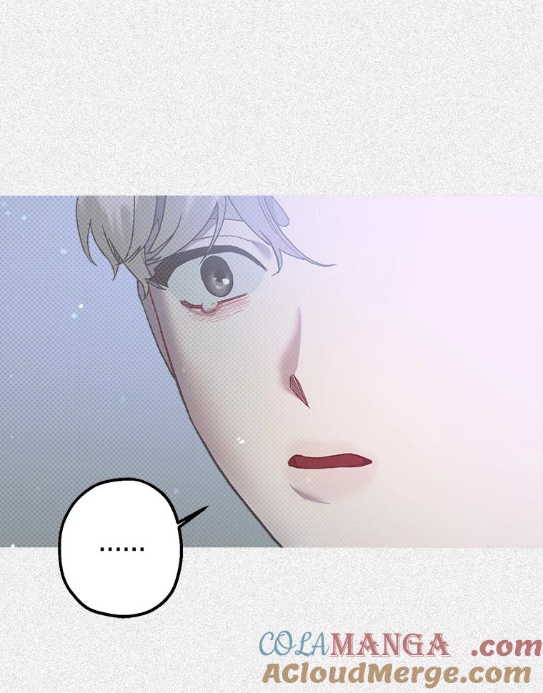 《第二个丈夫》38.往事 第109页