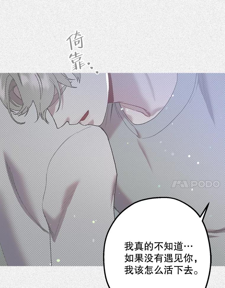 《第二个丈夫》38.往事 第110页