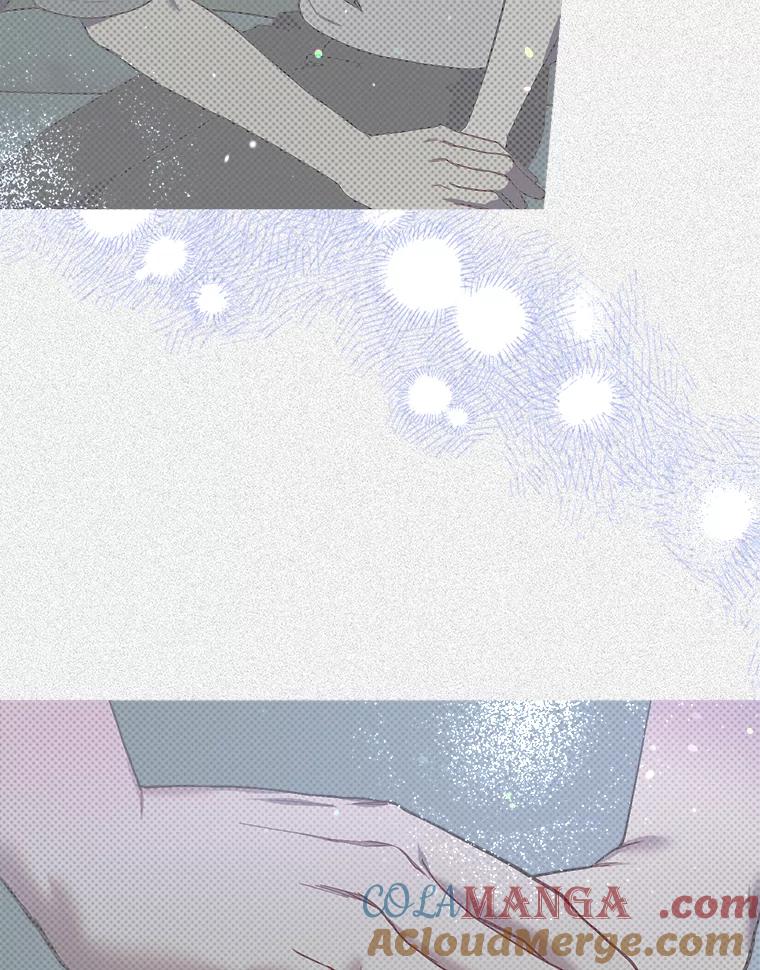 《第二个丈夫》38.往事 第113页