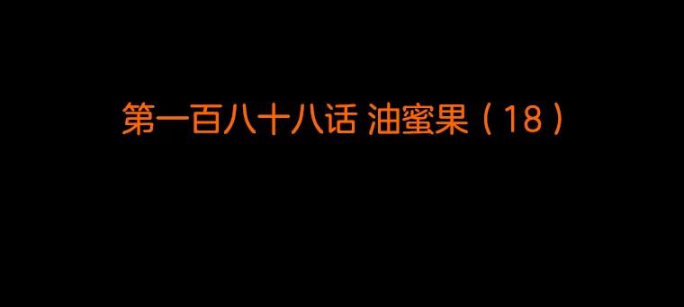 《双甲路边摊》188.油蜜果（18） 第2页