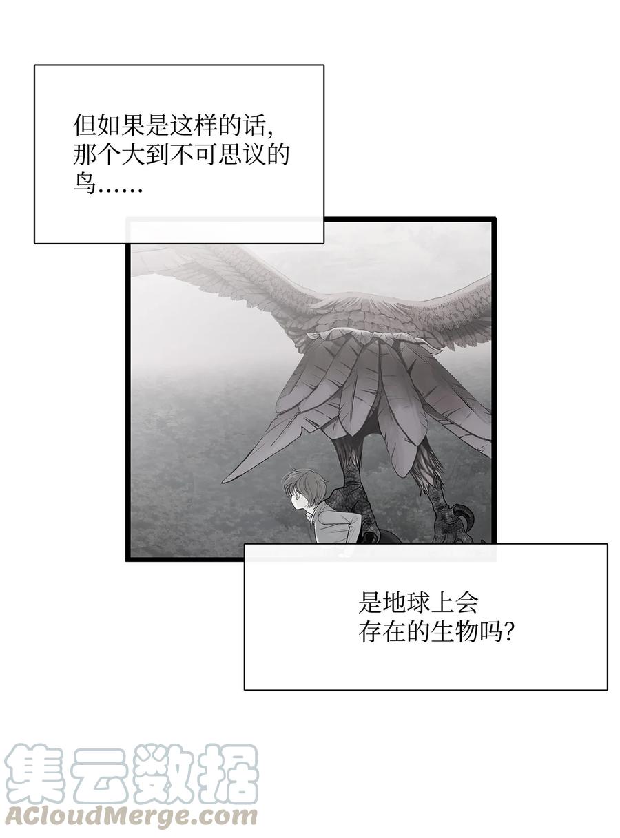 图腾领域 - 011 丢失的记忆 - 第64张图