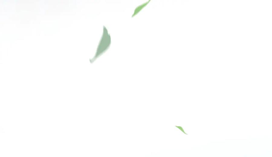 106.jpg