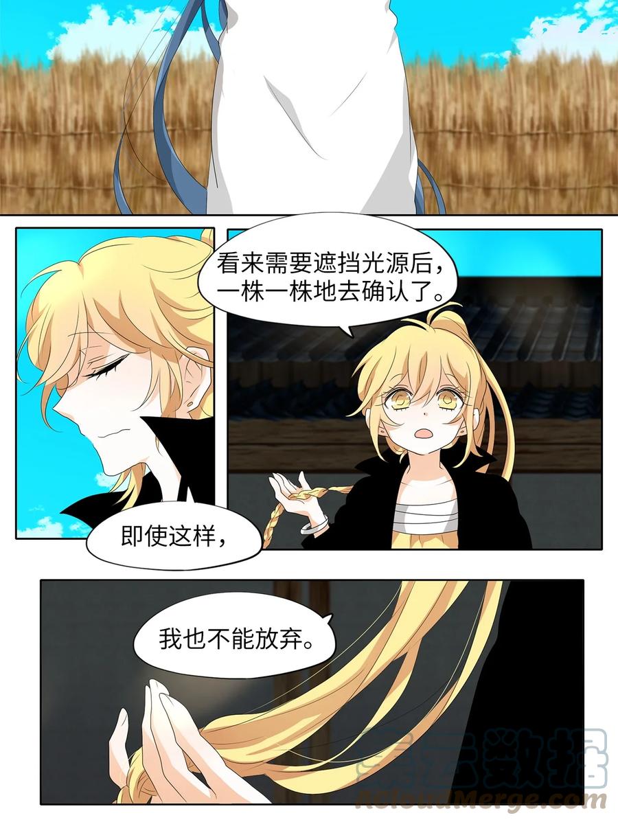 《天地海：我成为了神界的实习生》165 花凋零的时间（十二） 第13页
