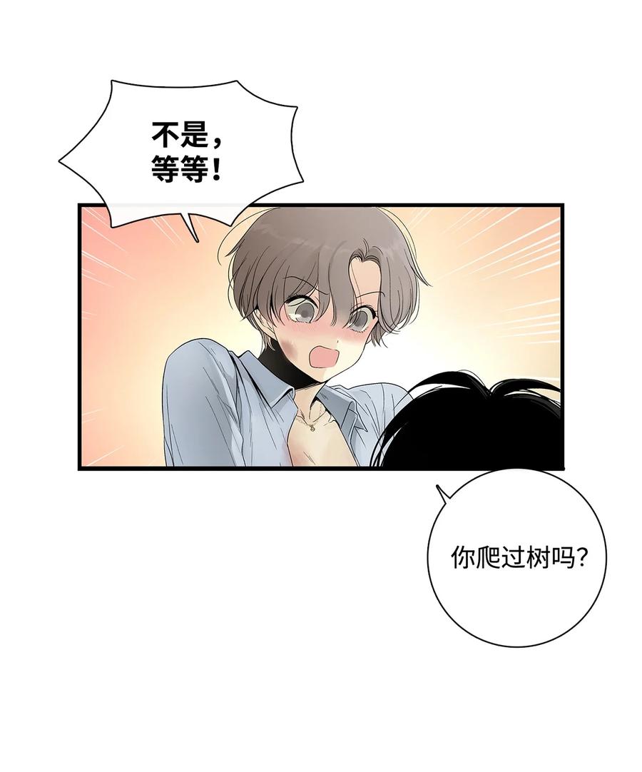 图腾领域 - 002 被救 - 第75张图