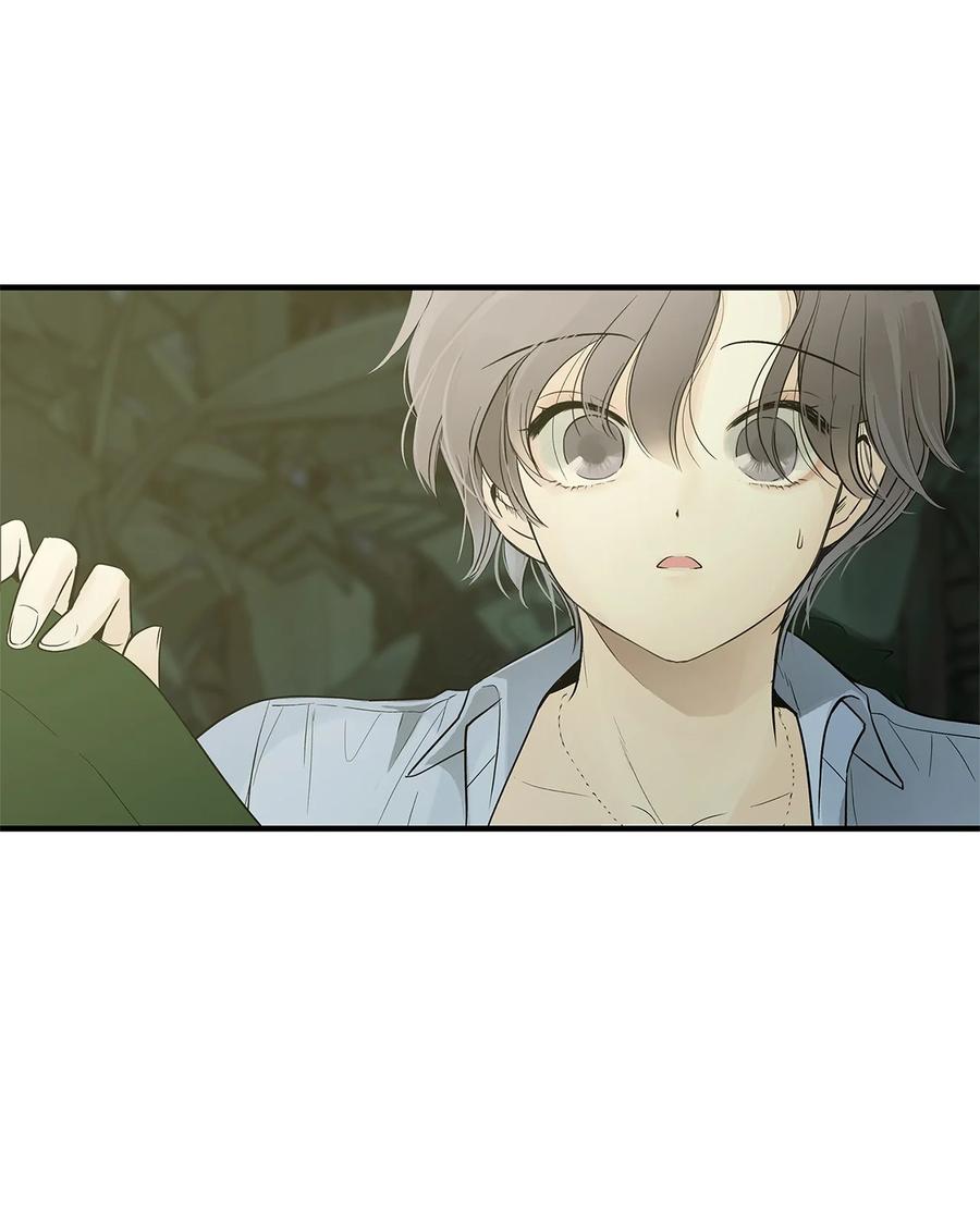 图腾领域 - 002 被救 - 第122张图