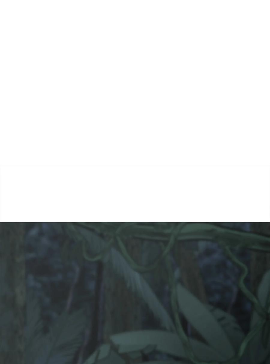 图腾领域 - 002 被救 - 第100张图