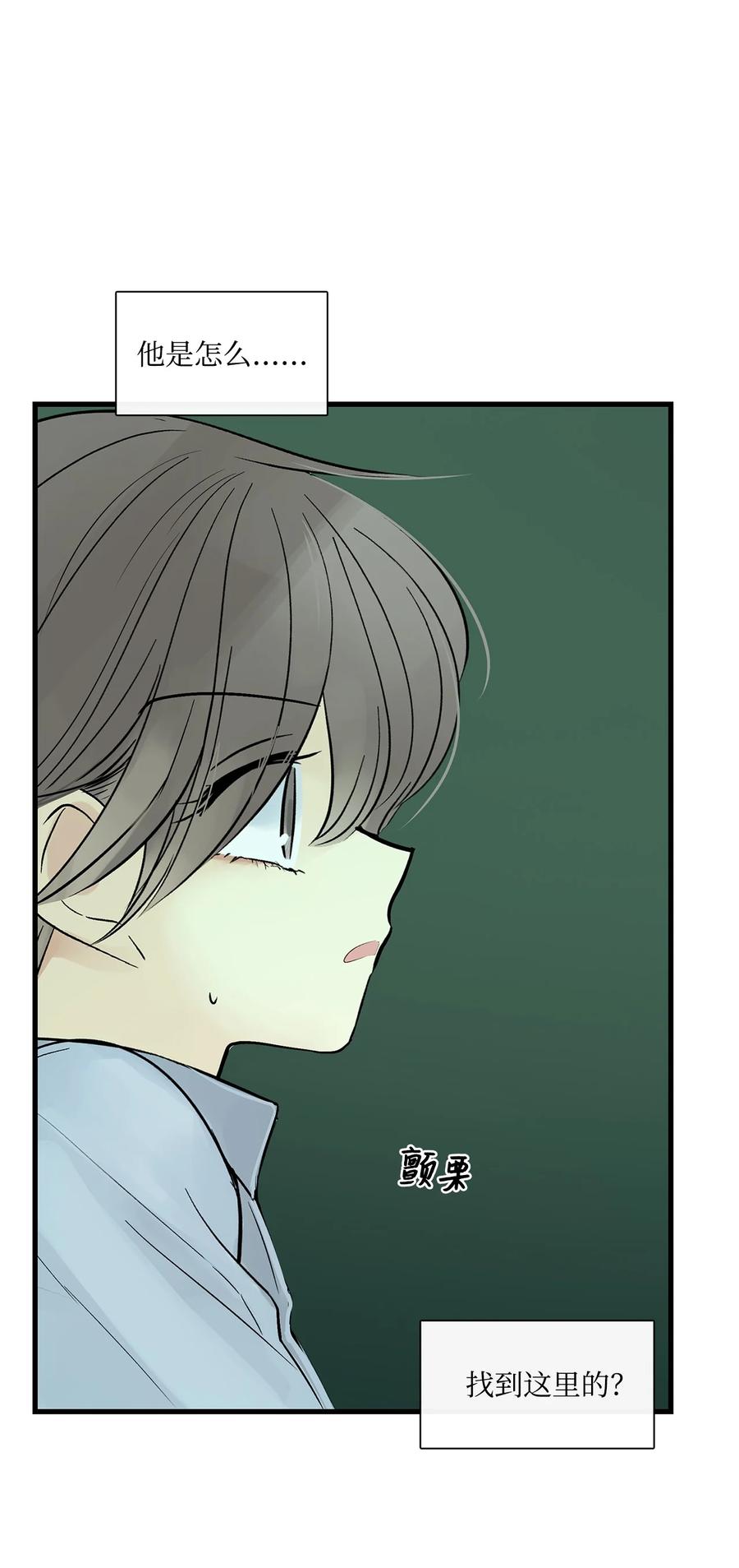 图腾领域 - 35 猫咪 - 第33张图