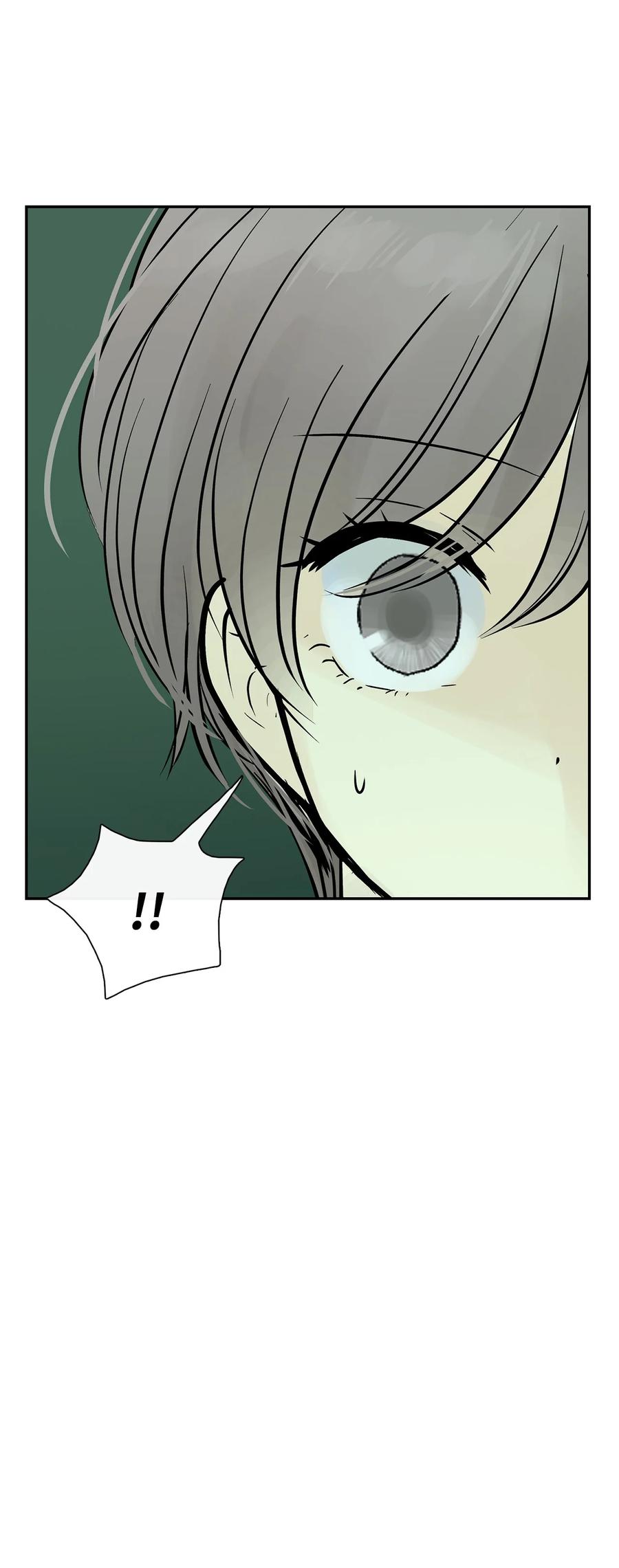 图腾领域 - 35 猫咪 - 第30张图