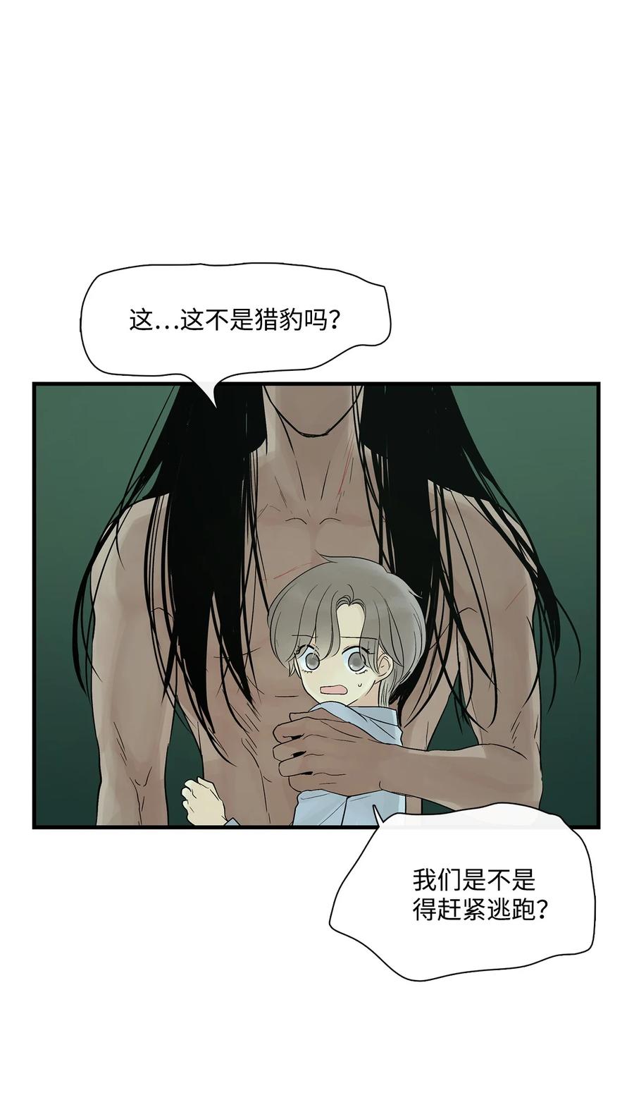 图腾领域 - 35 猫咪 - 第5张图