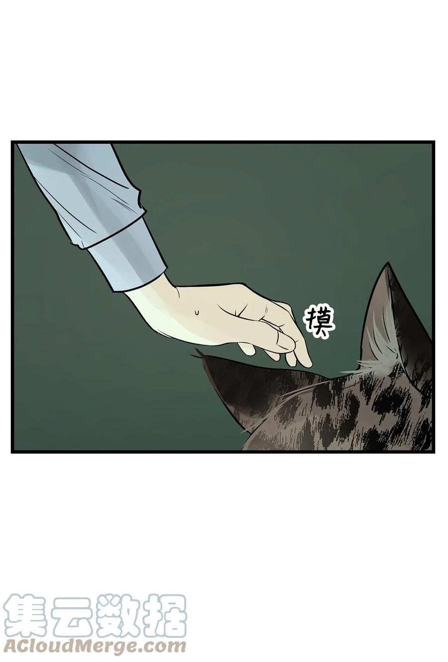 图腾领域 - 35 猫咪 - 第19张图