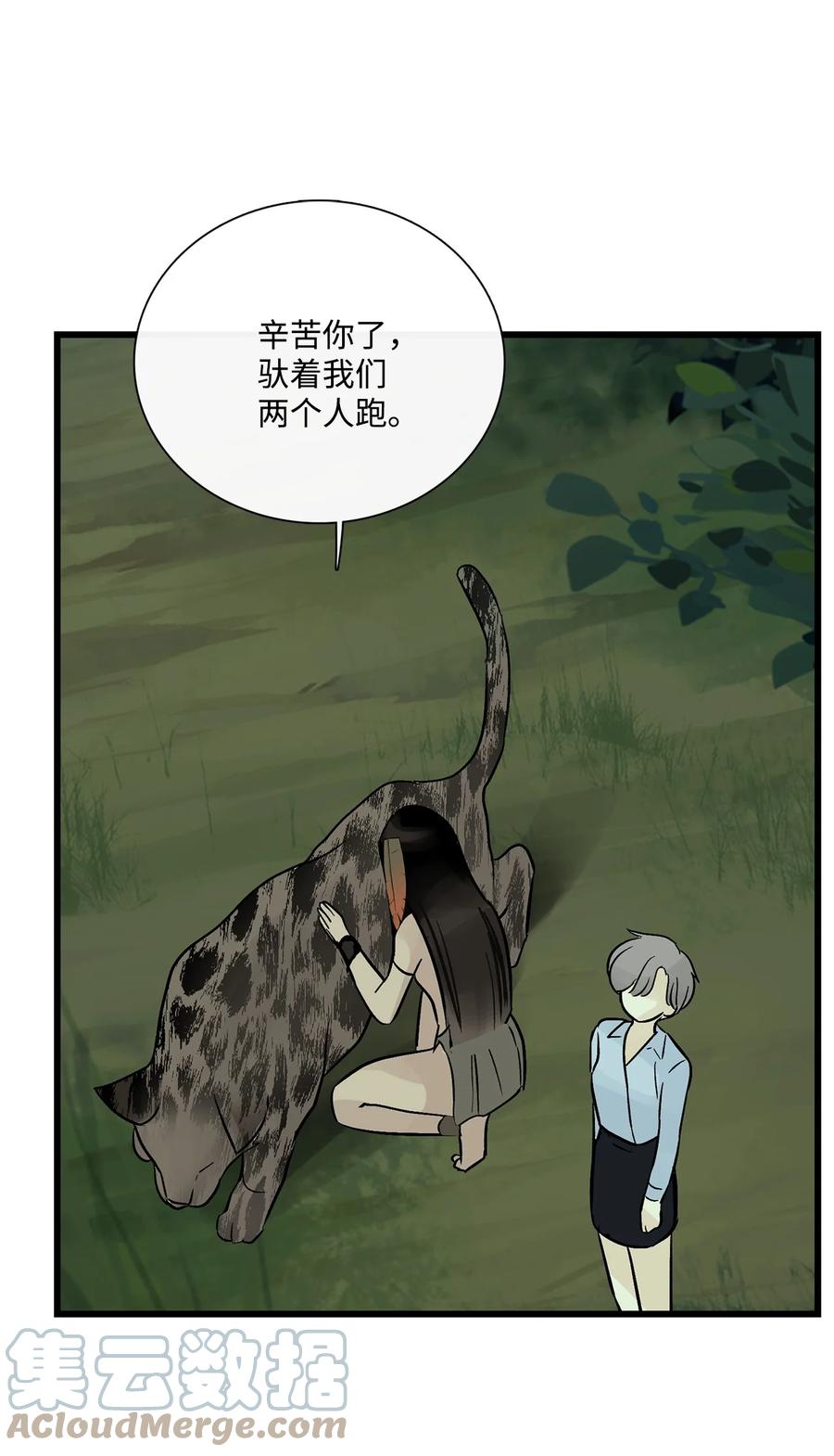 图腾领域 - 35 猫咪 - 第73张图