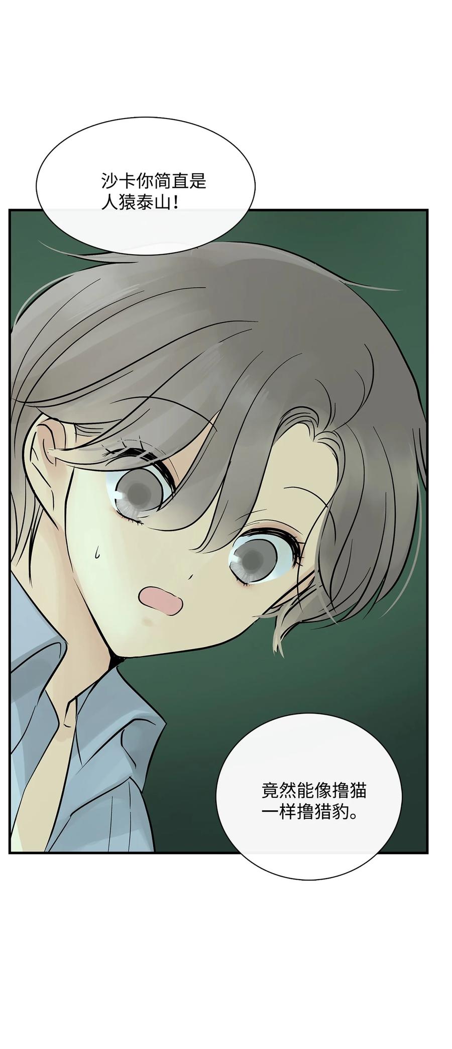 图腾领域 - 35 猫咪 - 第11张图