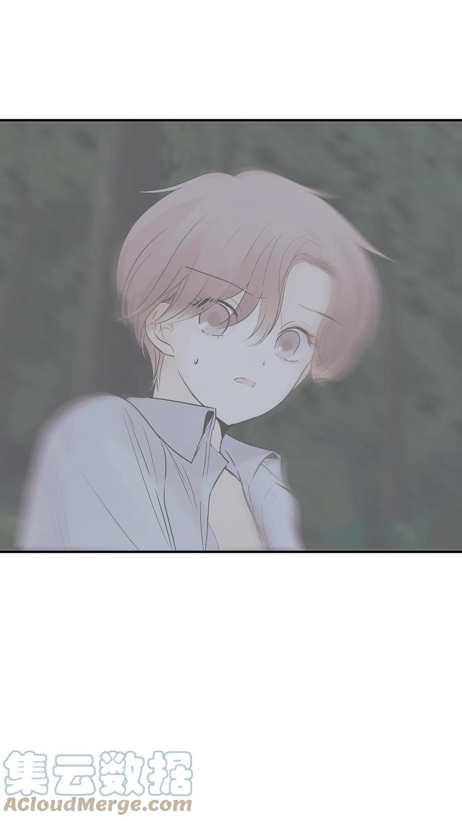 图腾领域 - 35 猫咪 - 第37张图