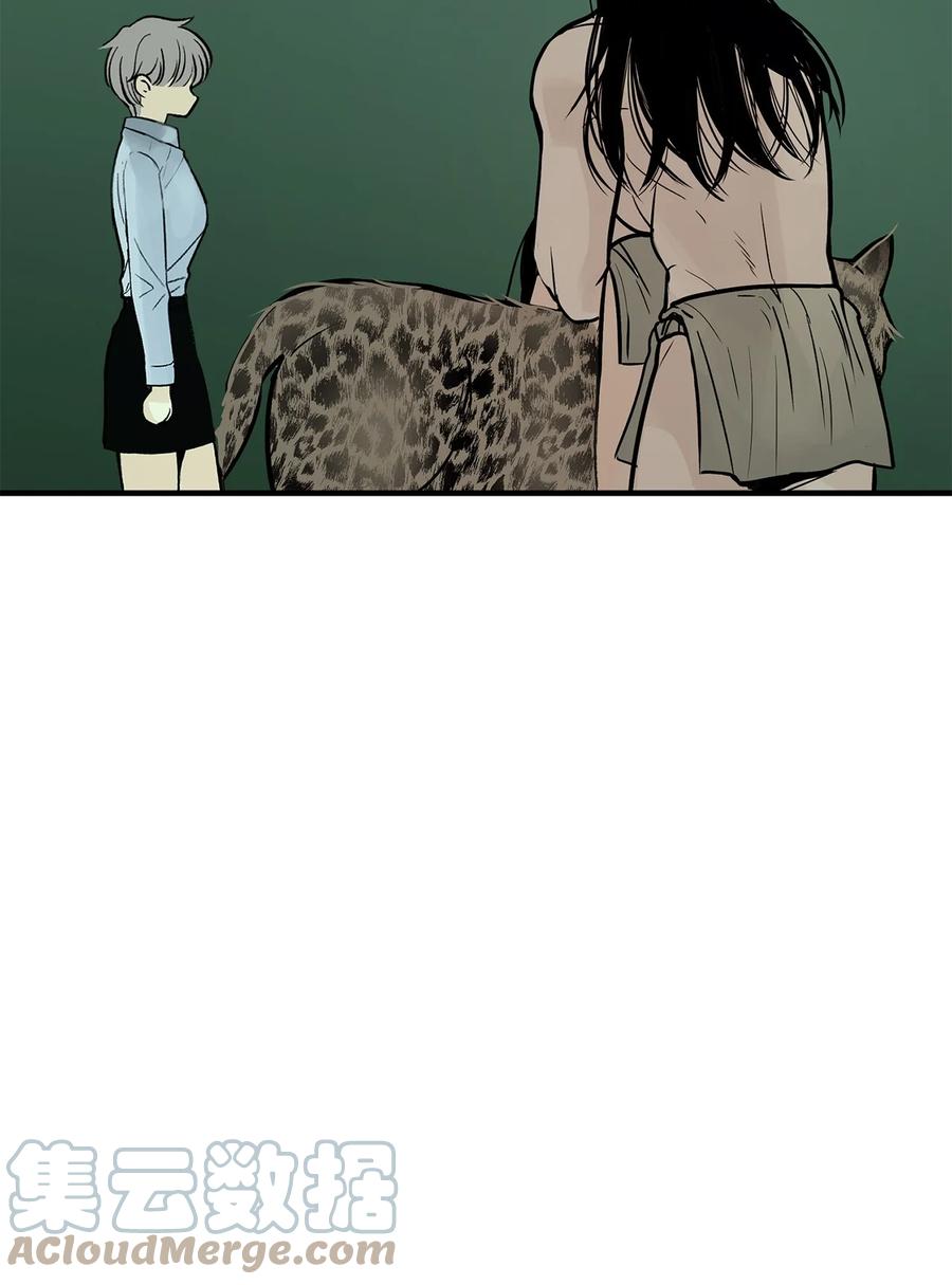 图腾领域 - 35 猫咪 - 第25张图