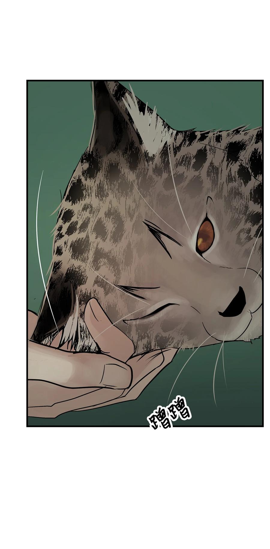 图腾领域 - 35 猫咪 - 第9张图