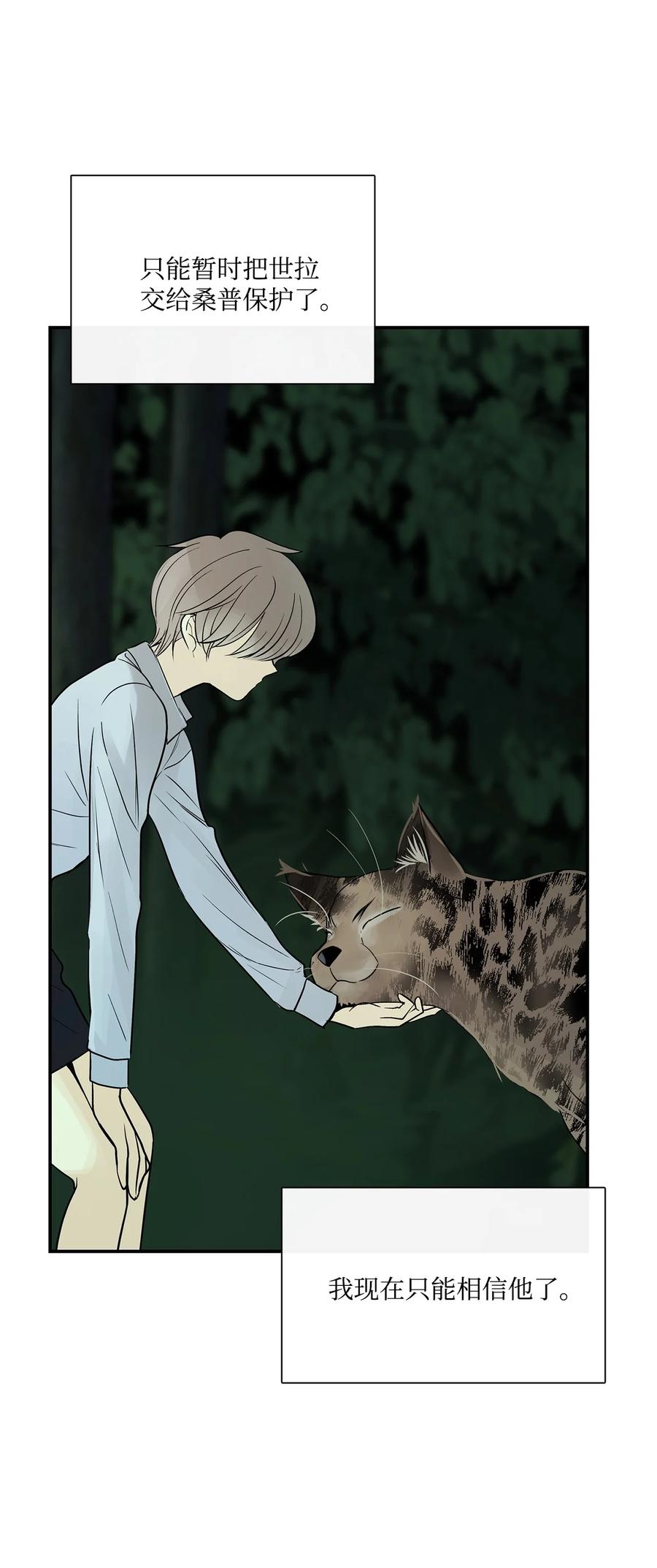 图腾领域 - 35 猫咪 - 第23张图