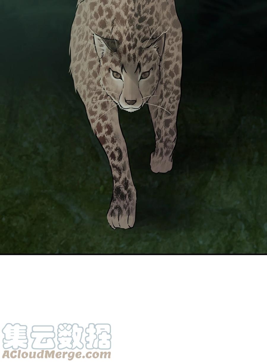 图腾领域 - 35 猫咪 - 第4张图