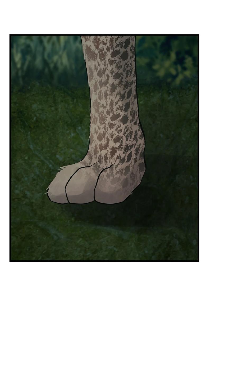 图腾领域 - 35 猫咪 - 第2张图