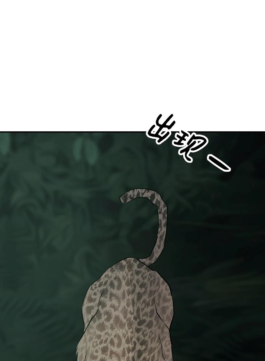 图腾领域 - 35 猫咪 - 第3张图