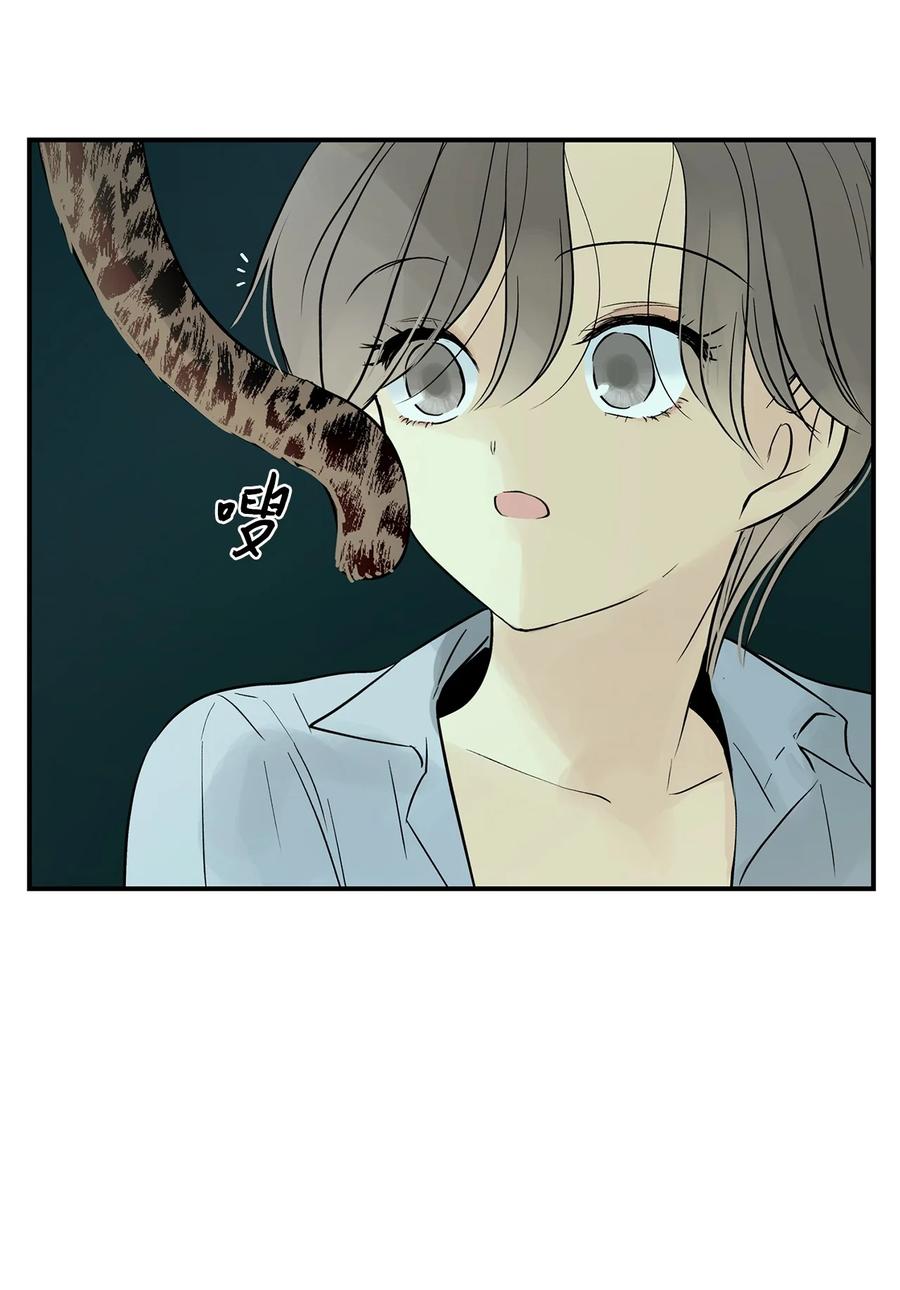 图腾领域 - 36 外地人 - 第26张图