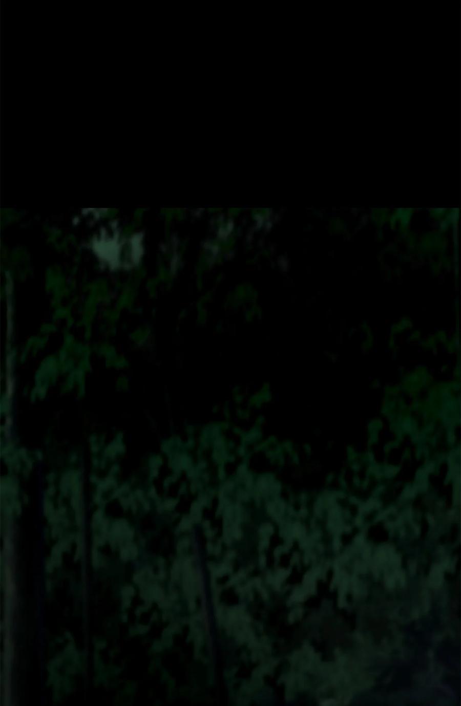 图腾领域 - 37 救命恩人 - 第6张图