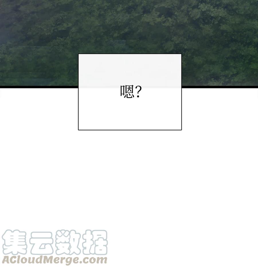 图腾领域 - 007 特殊的存在 - 第85张图