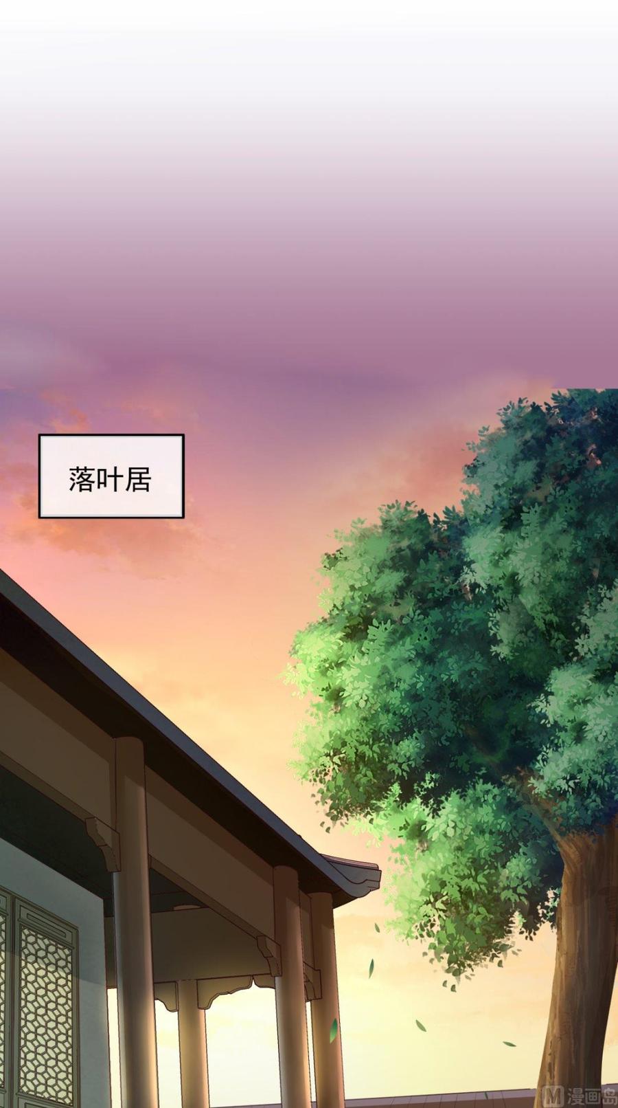 《痴傻毒妃不好惹》第16话 身世之谜 第2页