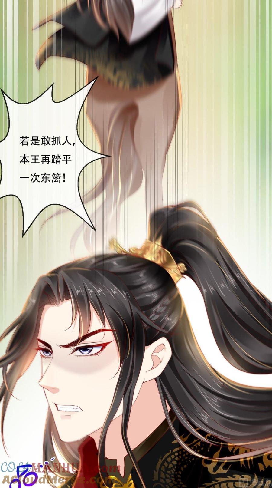 《痴傻毒妃不好惹》第44话 刺杀 第33页
