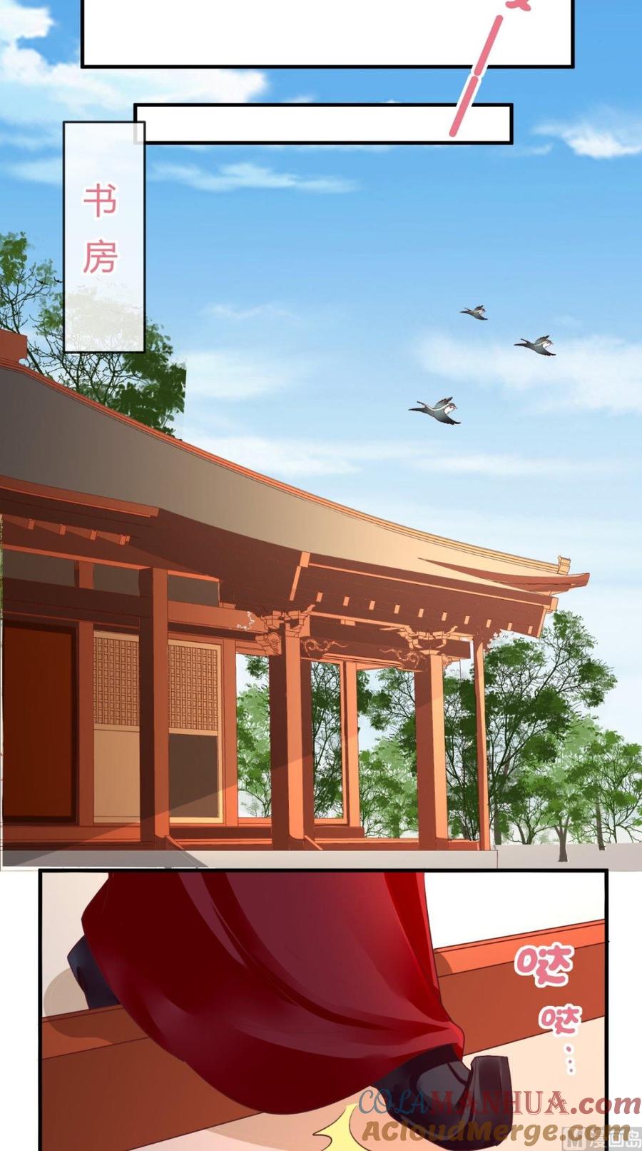 《痴傻毒妃不好惹》第44话 刺杀 第9页
