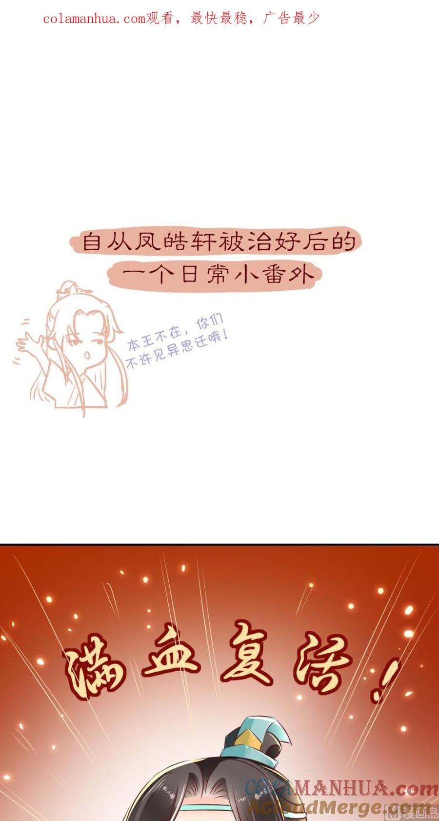 《痴傻毒妃不好惹》番外 等待半夏 第1页
