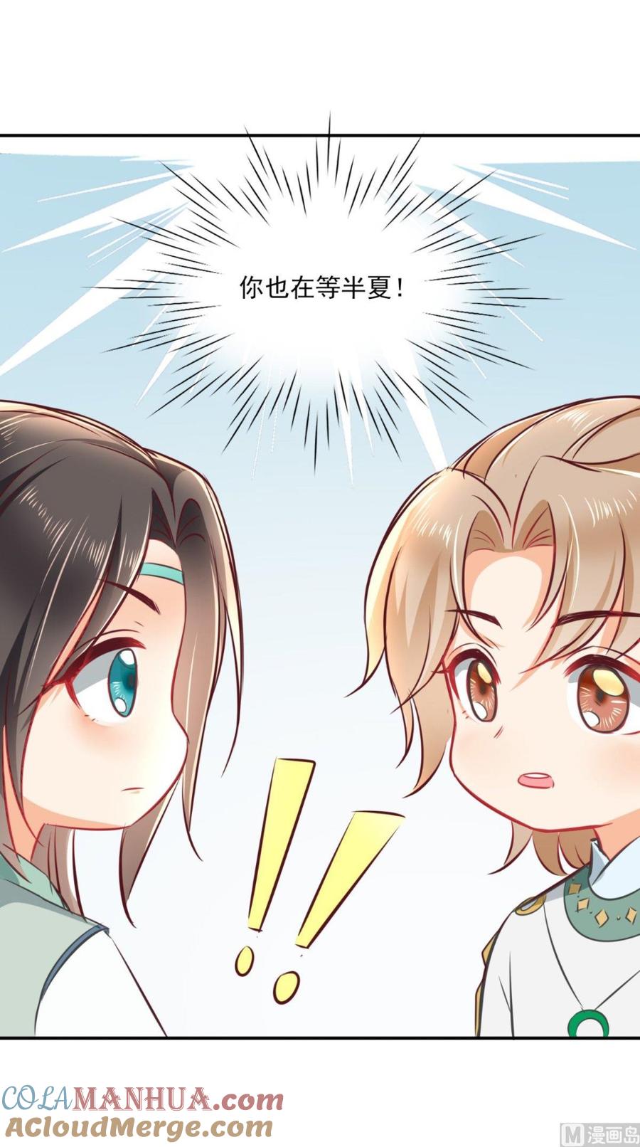 《痴傻毒妃不好惹》番外 等待半夏 第13页