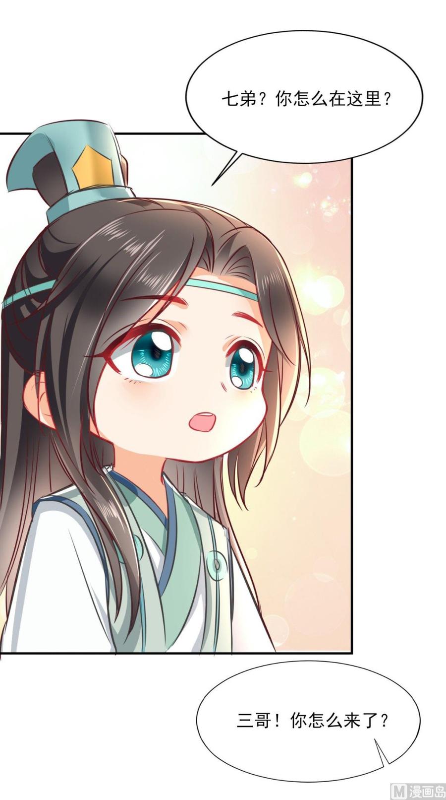 《痴傻毒妃不好惹》番外 等待半夏 第12页