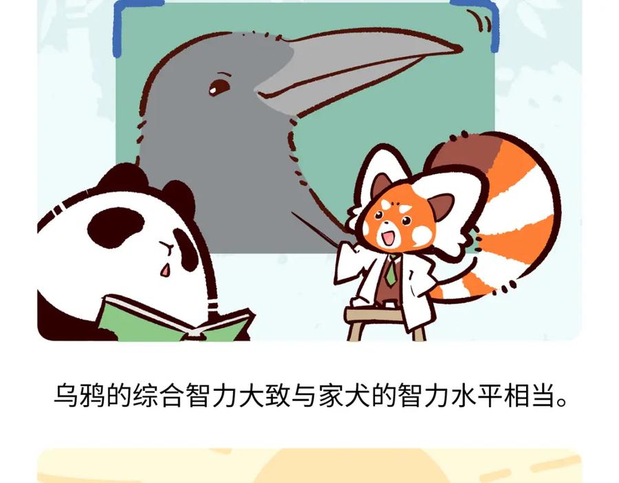 《胖达x胖达》第245话 第20页